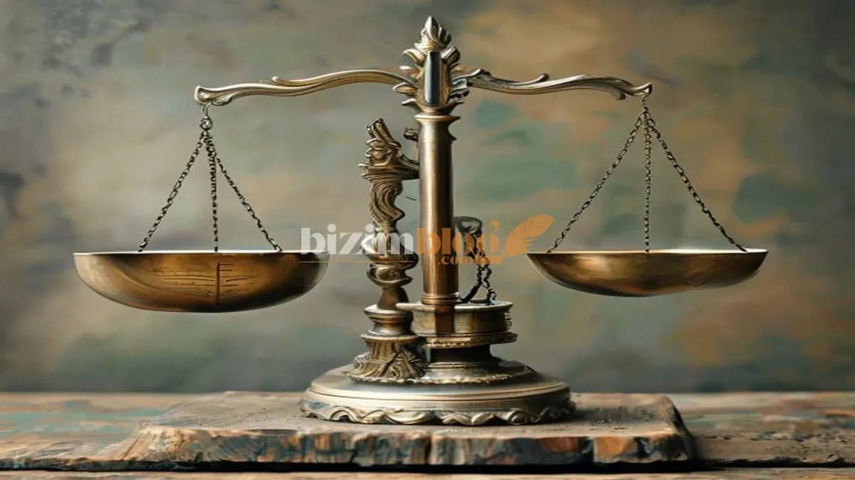 Yardımcı İçerik Sistemi mi Backlink Profili mi? Google Sıralamalarında Hangisi Daha Belirleyici?