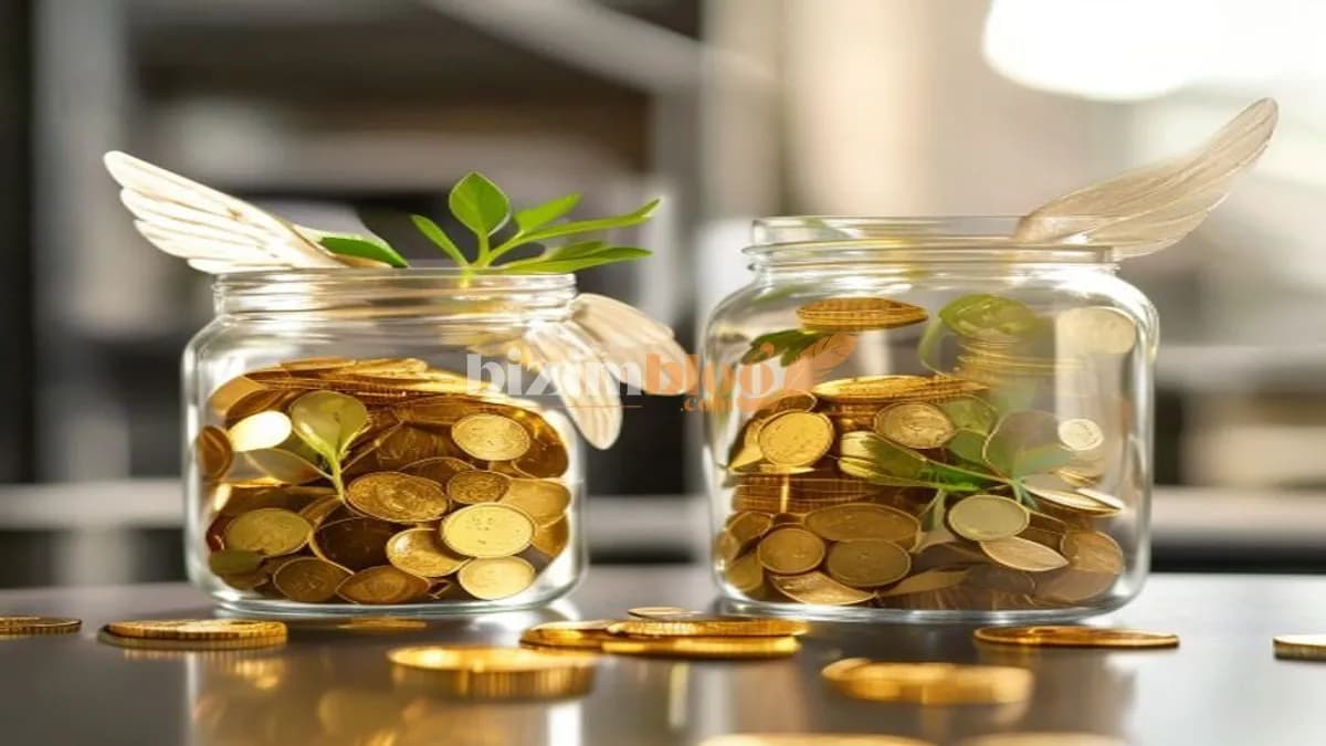 Angel Yatırım vs Girişim Sermaye: Erken Aşamada Doğru Finansman Kaynağı Nasıl Seçilir?